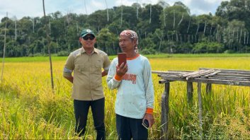 Sebuku Coal Group Dukung Ketahanan Pangan, Ikut Panen Padi Bersama Kelompok Tani di Desa Salino