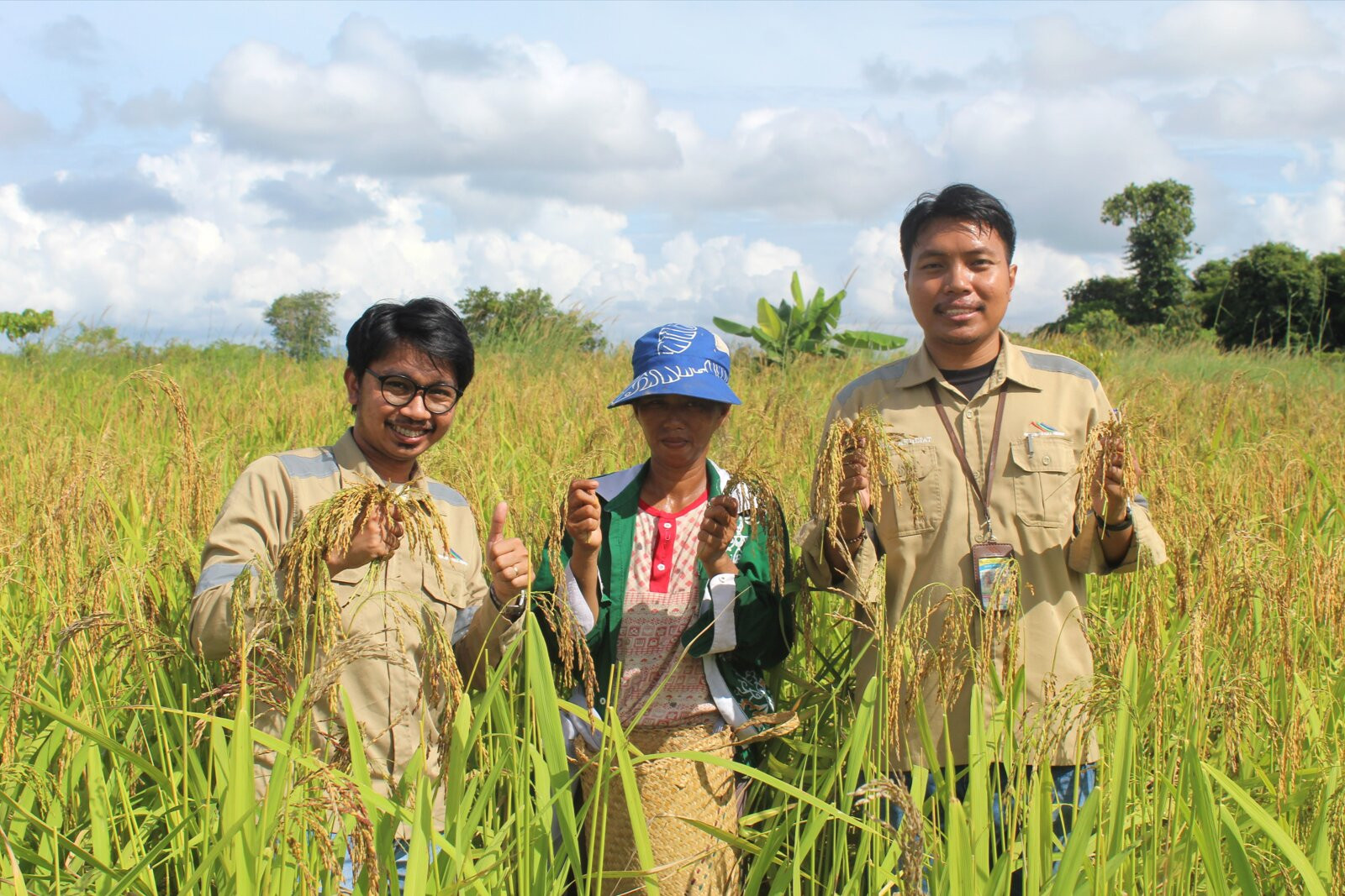 Dari Lereng ke Lumbung: Panen Padi Gunung Kel. Sumber Berkah, Binaan CSR SCG