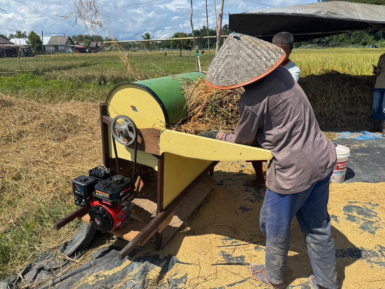 Tim CSR Sebuku Coal Group Berpartisipasi Panen Padi Kelompok Binaan