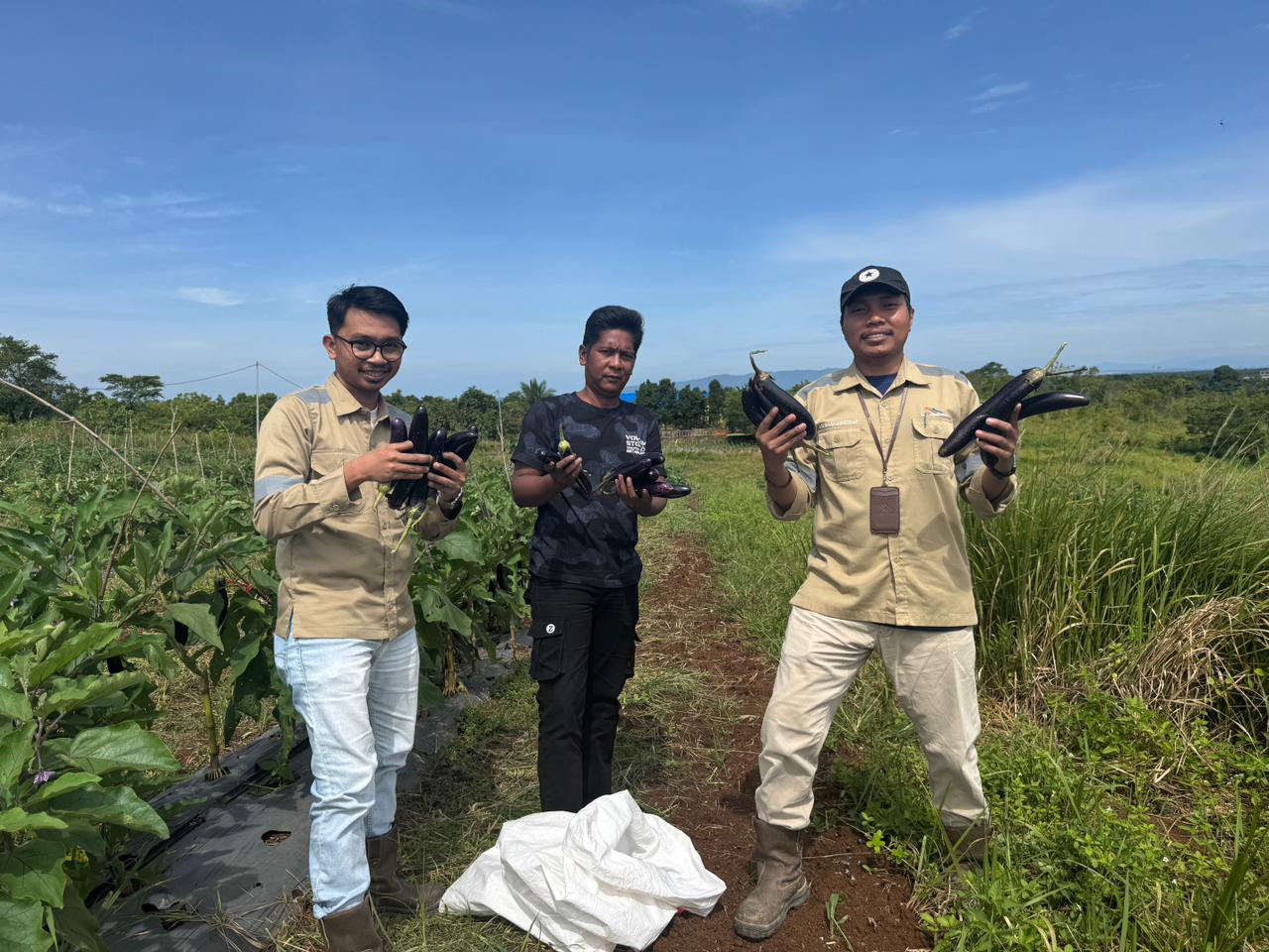 Bentuk Perhatian dan Pembinaan, CSR Sebuku Coal Group Hadir di Tengah Panen Petani Binaan