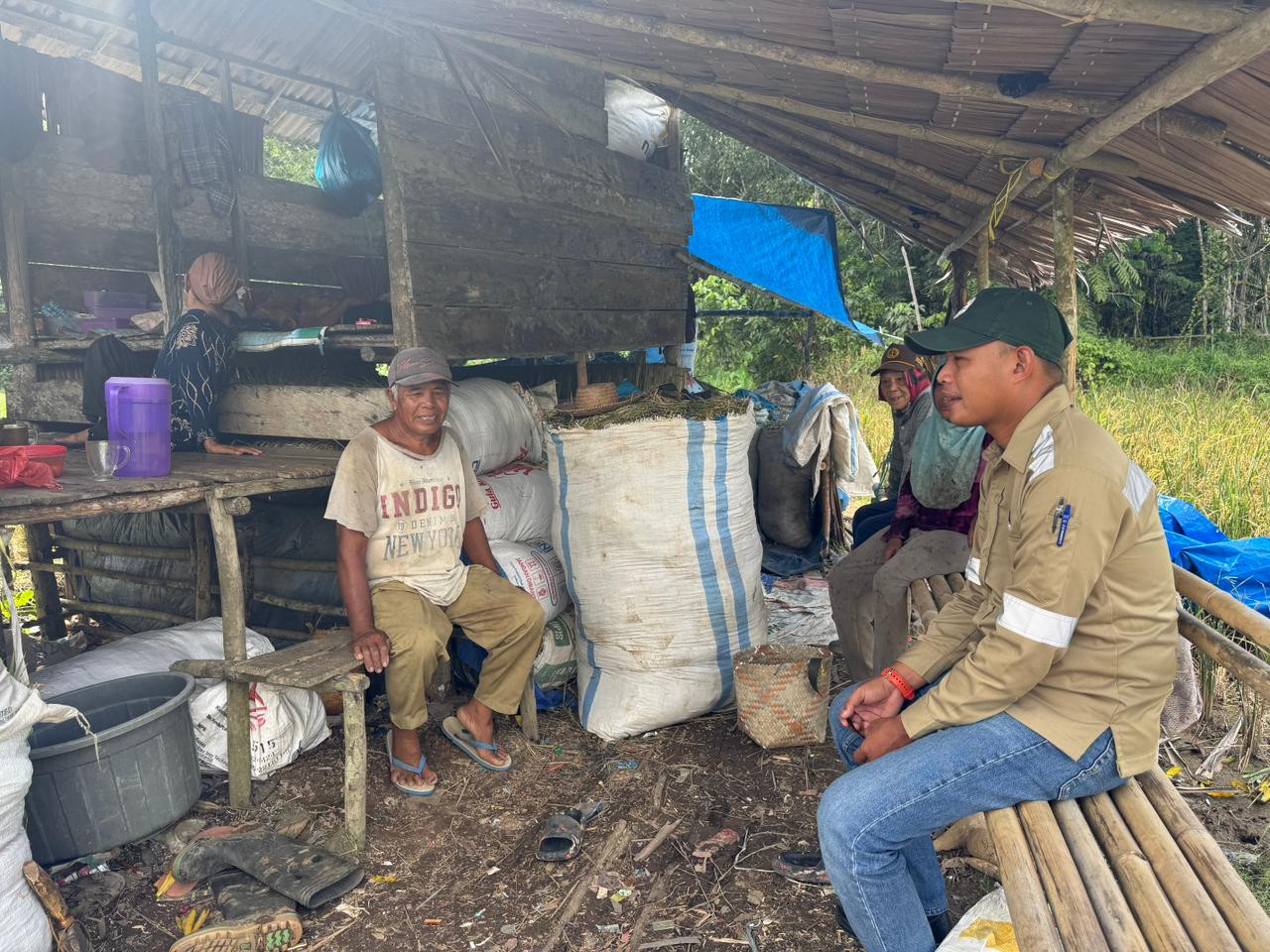 CSR Sebuku Coal Group Hadir dalam Panen Padi Kelompok Binaan di Pulau Laut Tengah